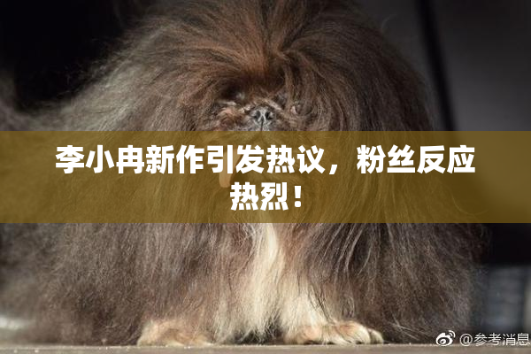 李小冉新作引发热议，粉丝反应热烈！
