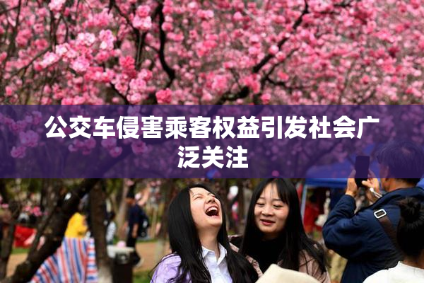 公交车侵害乘客权益引发社会广泛关注