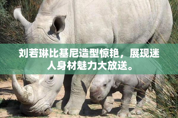 刘若琳比基尼造型惊艳，展现迷人身材魅力大放送。