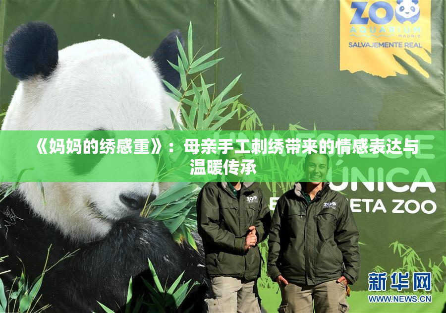 《妈妈的绣感重》：母亲手工刺绣带来的情感表达与温暖传承