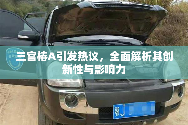三宫椿A引发热议，全面解析其创新性与影响力