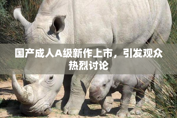 国产成人A级新作上市，引发观众热烈讨论