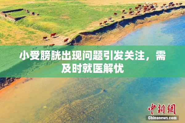 小受膀胱出现问题引发关注，需及时就医解忧