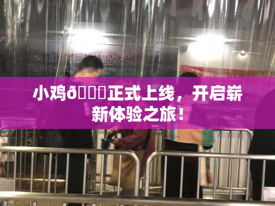小鸡🐔正式上线，开启崭新体验之旅！