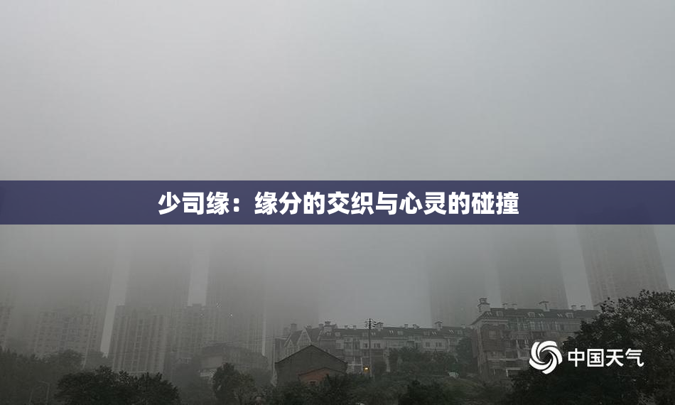 少司缘：缘分的交织与心灵的碰撞