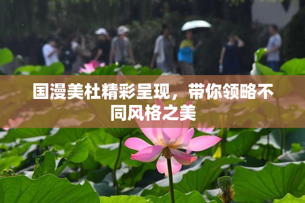 国漫美杜精彩呈现，带你领略不同风格之美