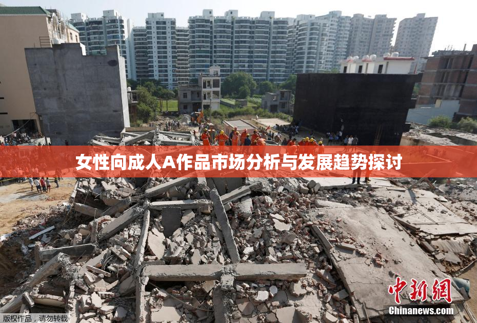 女性向成人A作品市场分析与发展趋势探讨