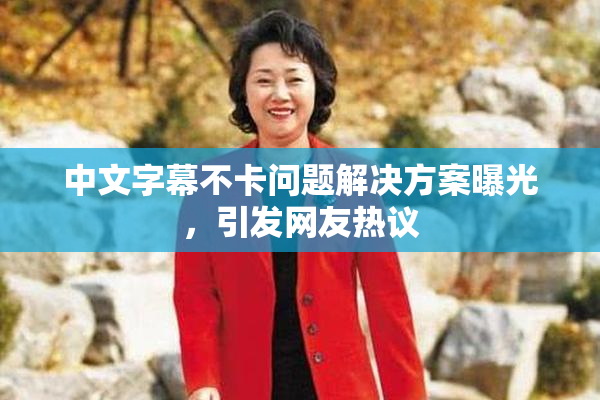中文字幕不卡问题解决方案曝光，引发网友热议