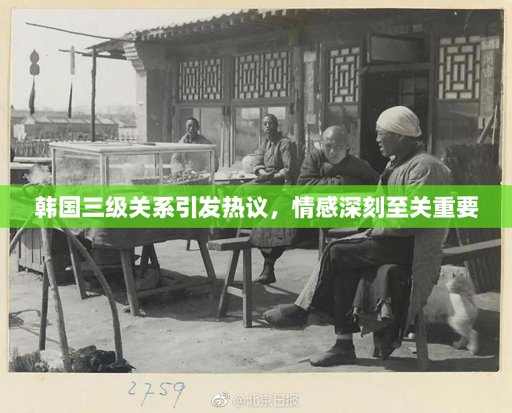 韩国三级关系引发热议，情感深刻至关重要