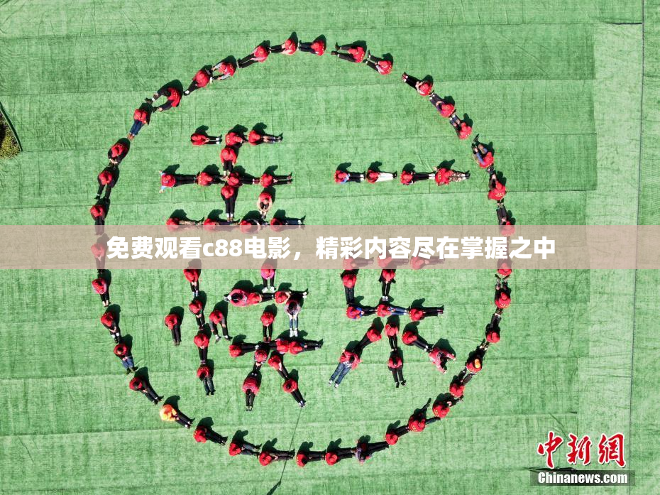 免费观看c88电影，精彩内容尽在掌握之中