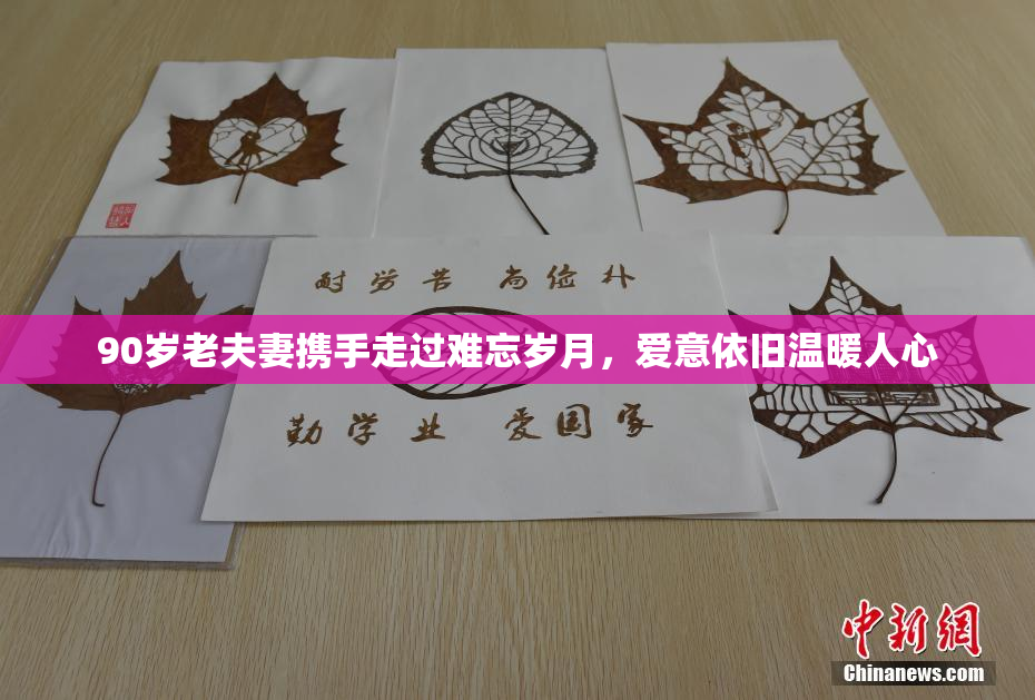 90岁老夫妻携手走过难忘岁月，爱意依旧温暖人心