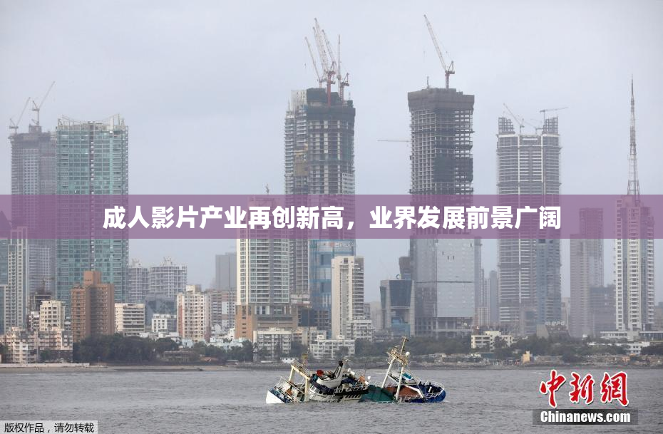 成人影片产业再创新高，业界发展前景广阔