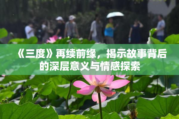 《三度》再续前缘，揭示故事背后的深层意义与情感探索