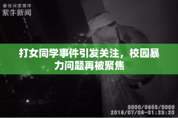 打女同学事件引发关注，校园暴力问题再被聚焦