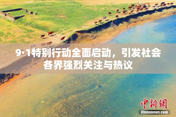 9·1特别行动全面启动，引发社会各界强烈关注与热议