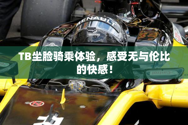 TB坐脸骑乘体验，感受无与伦比的快感！