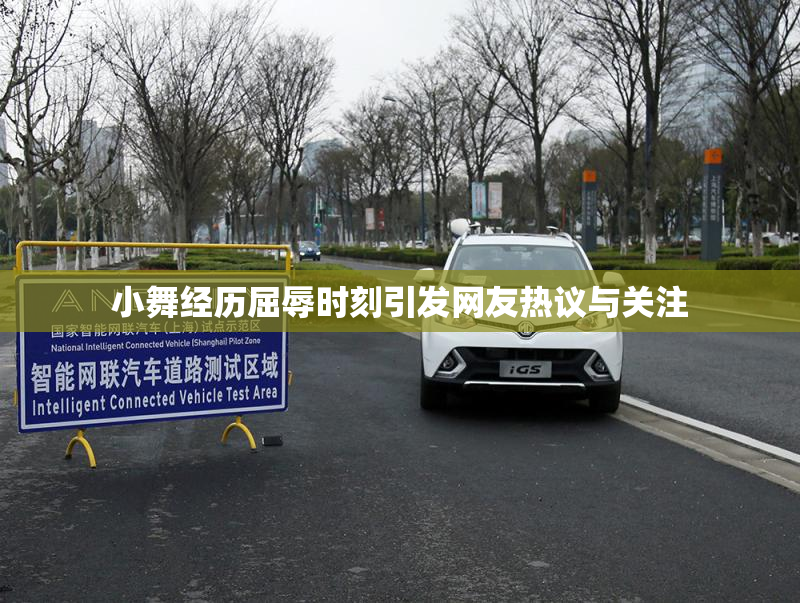 小舞经历屈辱时刻引发网友热议与关注