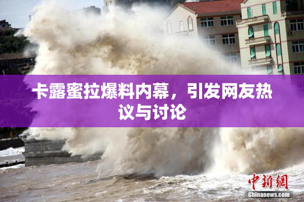 卡露蜜拉爆料内幕，引发网友热议与讨论