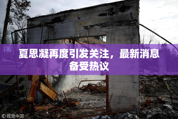 夏思凝再度引发关注，最新消息备受热议