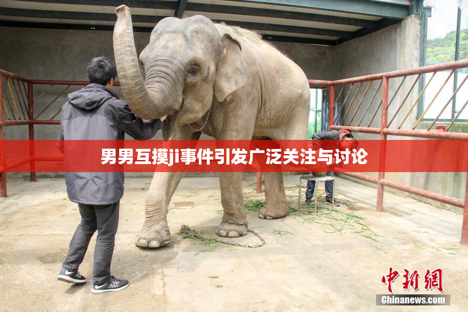 男男互摸ji事件引发广泛关注与讨论