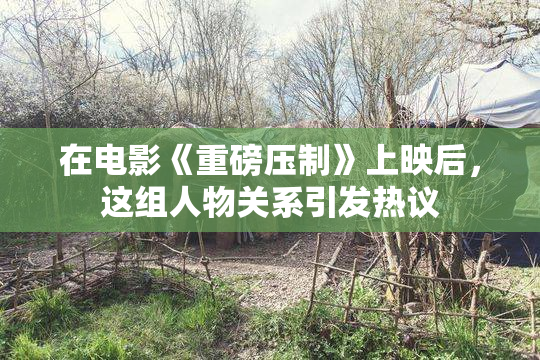 在电影《重磅压制》上映后，这组人物关系引发热议