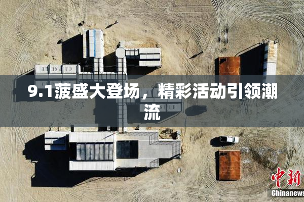 9.1菠盛大登场，精彩活动引领潮流