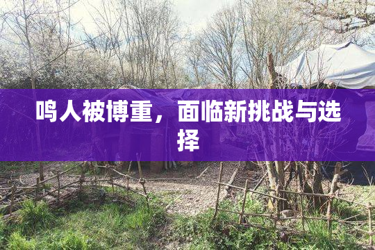 鸣人被博重，面临新挑战与选择