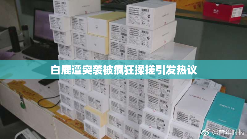 白鹿遭突袭被疯狂揉搓引发热议