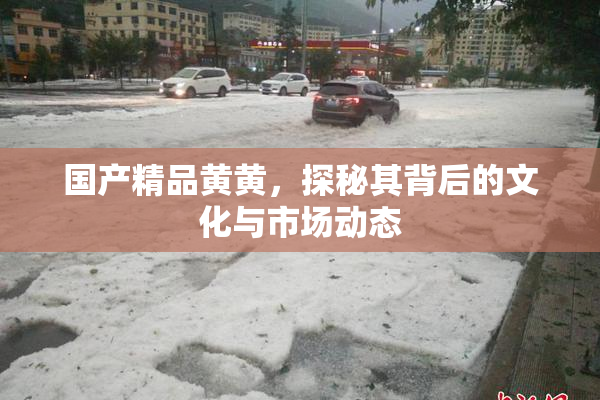 国产精品黄黄，探秘其背后的文化与市场动态