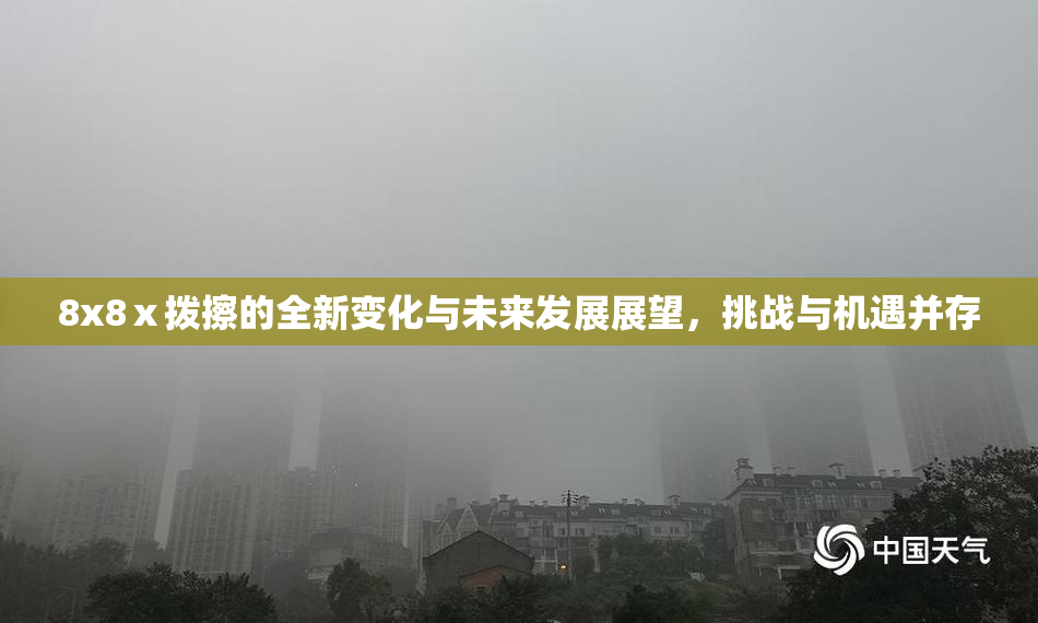 8x8ⅹ拨擦的全新变化与未来发展展望，挑战与机遇并存