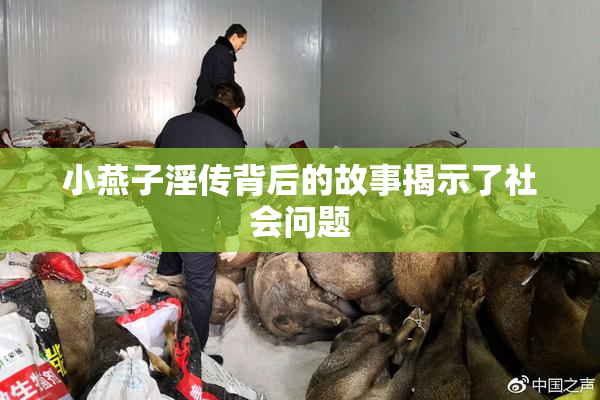 小燕子淫传背后的故事揭示了社会问题