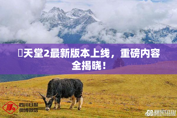 妺天堂2最新版本上线，重磅内容全揭晓！