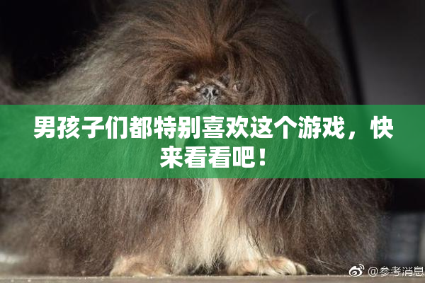 男孩子们都特别喜欢这个游戏，快来看看吧！