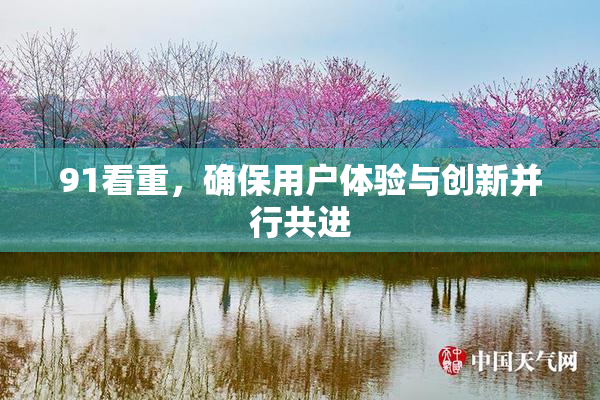 91看重，确保用户体验与创新并行共进