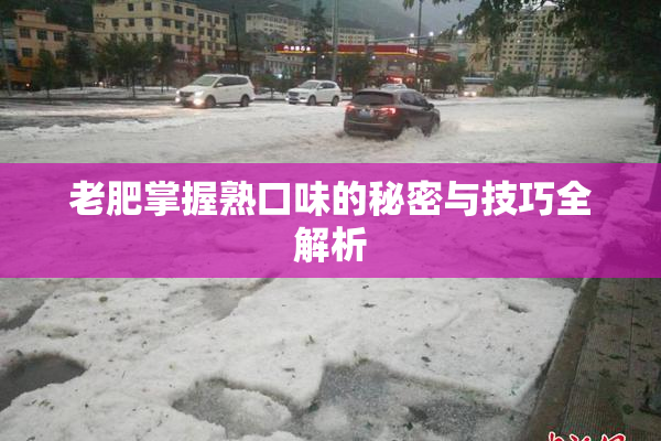 老肥掌握熟口味的秘密与技巧全解析