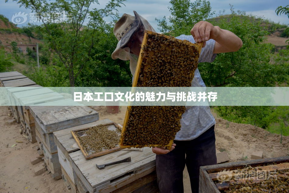 日本工口文化的魅力与挑战并存