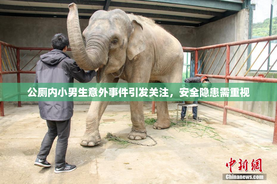 公厕内小男生意外事件引发关注，安全隐患需重视