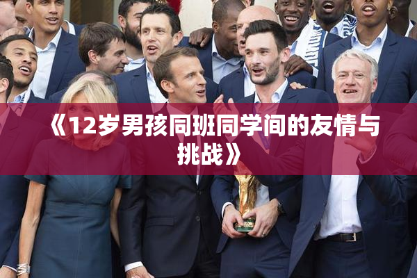 《12岁男孩同班同学间的友情与挑战》