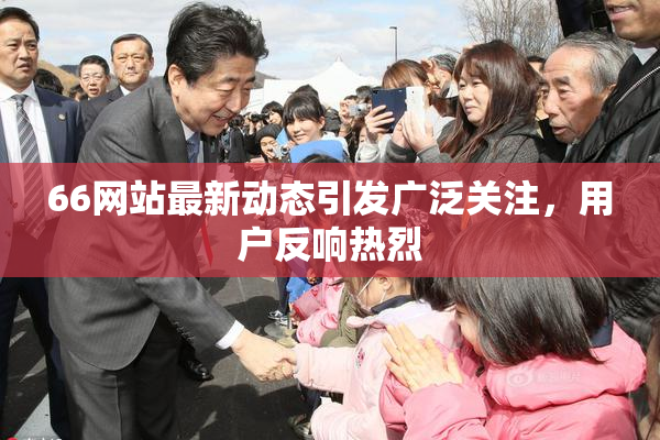 66网站最新动态引发广泛关注，用户反响热烈