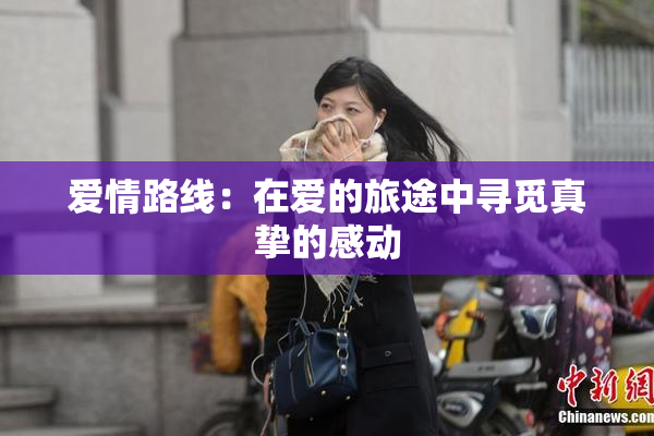 爱情路线：在爱的旅途中寻觅真挚的感动