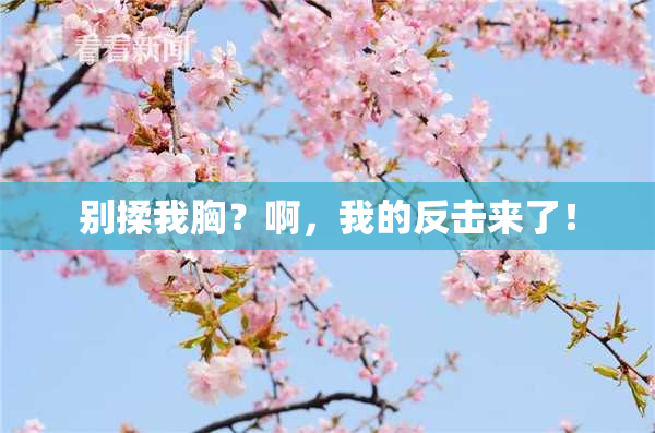 别揉我胸？啊，我的反击来了！