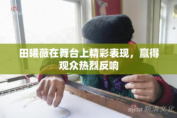 田曦薇在舞台上精彩表现，赢得观众热烈反响