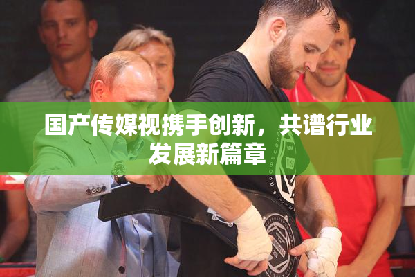 国产传媒视携手创新，共谱行业发展新篇章