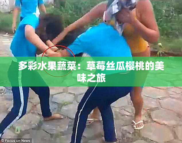多彩水果蔬菜：草莓丝瓜樱桃的美味之旅
