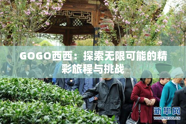 GOGO西西：探索无限可能的精彩旅程与挑战