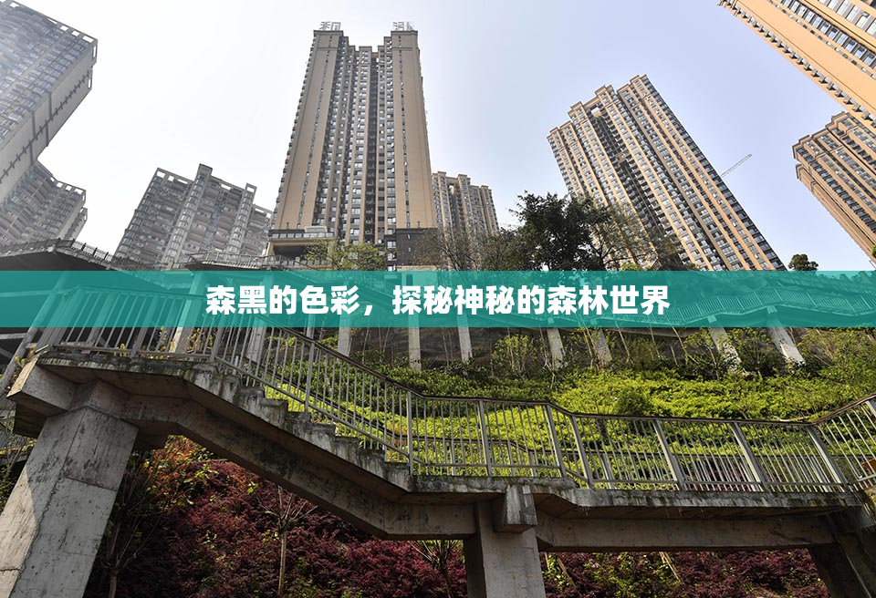 森黑的色彩，探秘神秘的森林世界