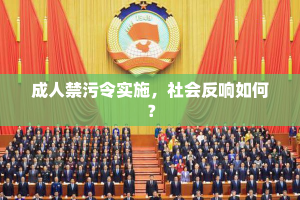 成人禁污令实施，社会反响如何？
