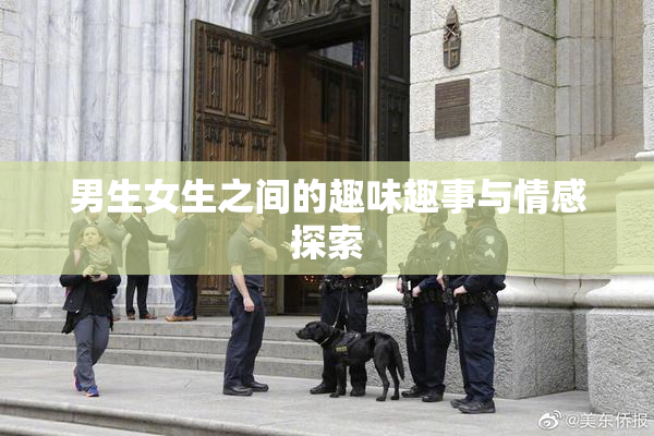 男生女生之间的趣味趣事与情感探索