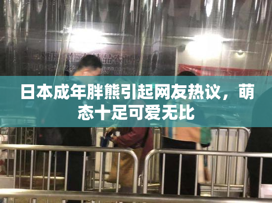 日本成年胖熊引起网友热议，萌态十足可爱无比