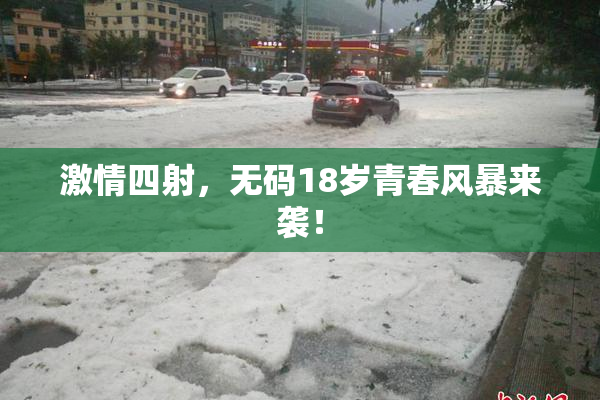 激情四射，无码18岁青春风暴来袭！